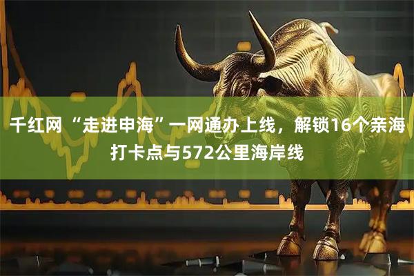 千红网 “走进申海”一网通办上线，解锁16个亲海打卡点与572公里海岸线